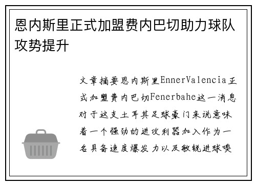 恩内斯里正式加盟费内巴切助力球队攻势提升